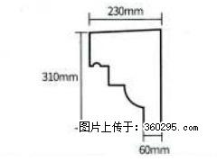 产品分解图型 - 檐口线，型号：SX311-YK-3，规格：230x310mm(3) - 内江三象EPS建材 scnj.sx311.cc